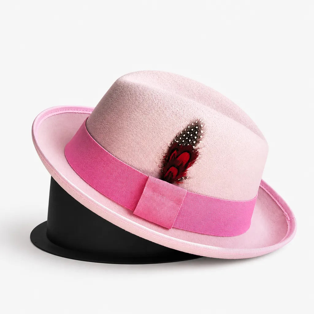 Chapeau Feutre Homme - Plume Style Gentleman Vintage