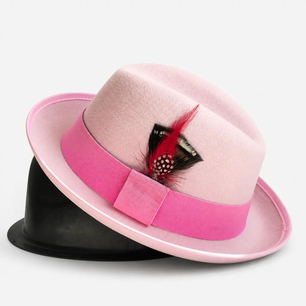 Chapeau Feutre Homme - Plume Style Gentleman Vintage